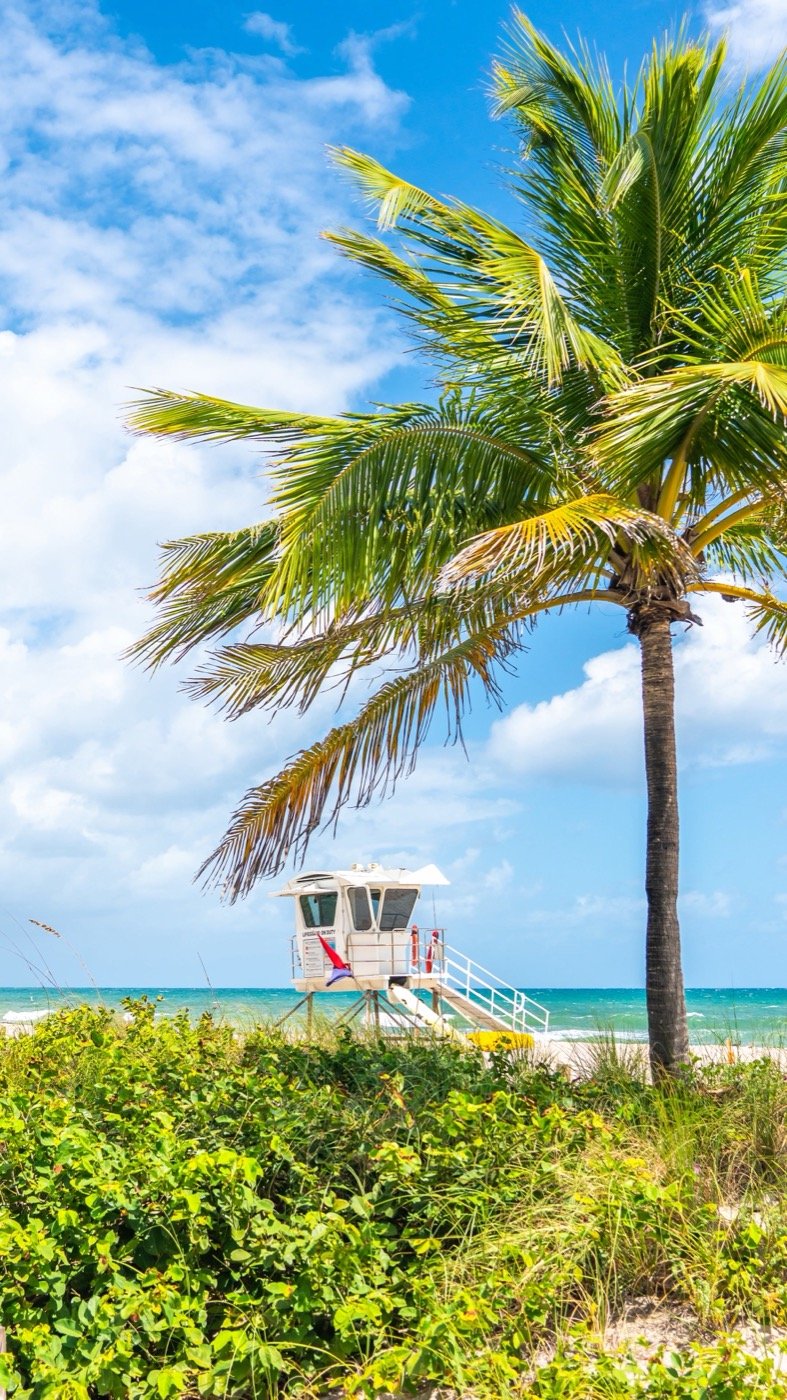 The seafront promenade at Fort Lauderdale on a sunny day