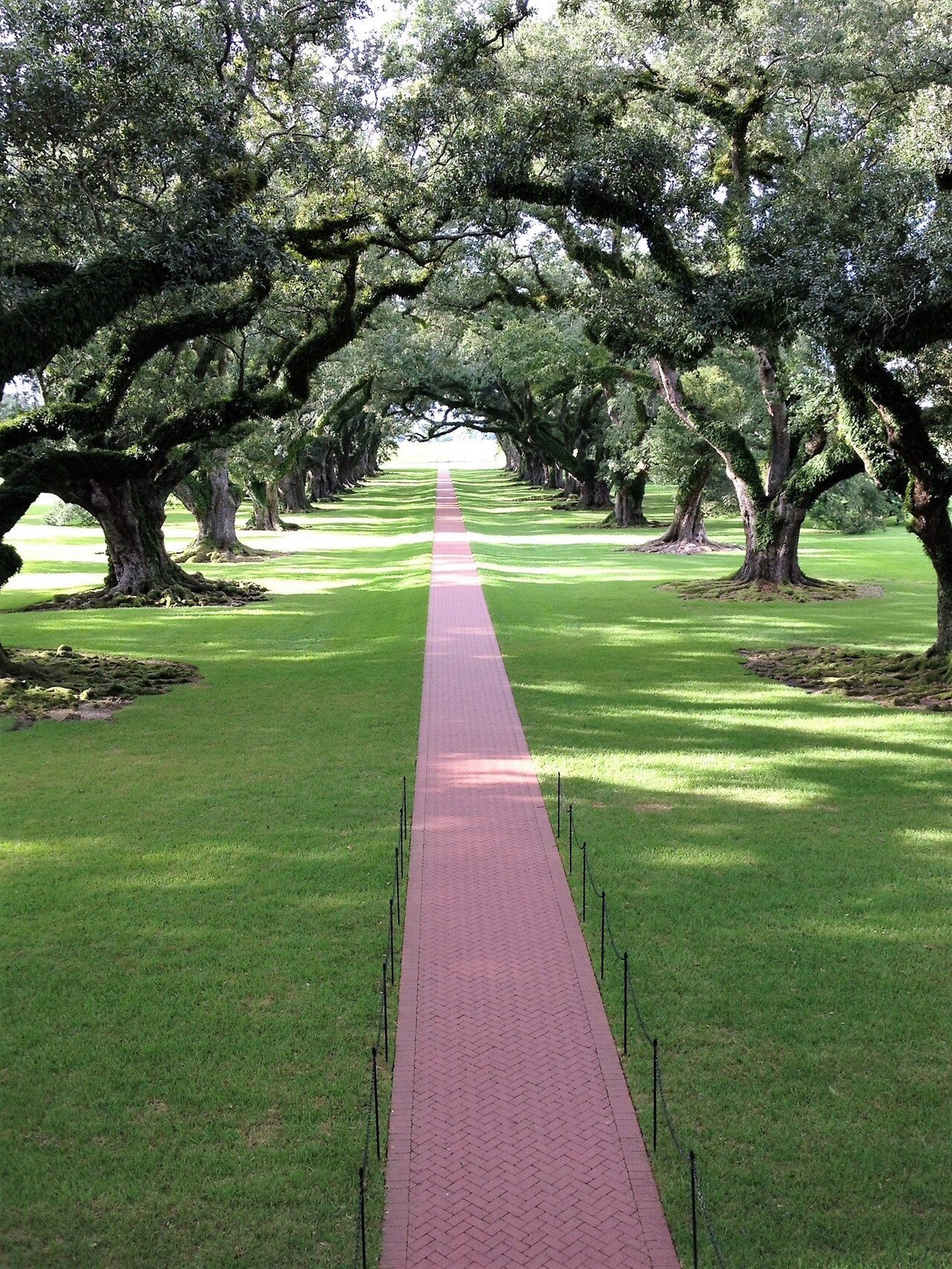 The alley of live oaks at Oak Alley Plantation