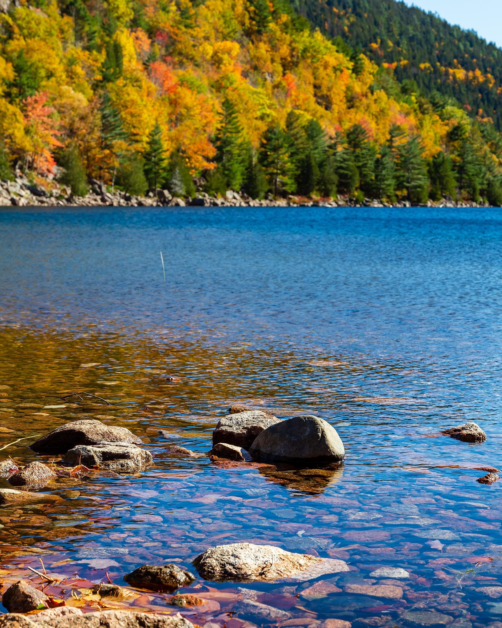 Autumn colour around a pond in Acadia National Park, Maine