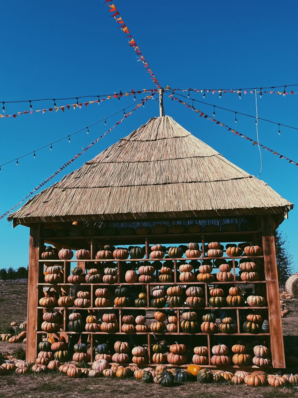 A farm stand stacked with pumpkins in the fall