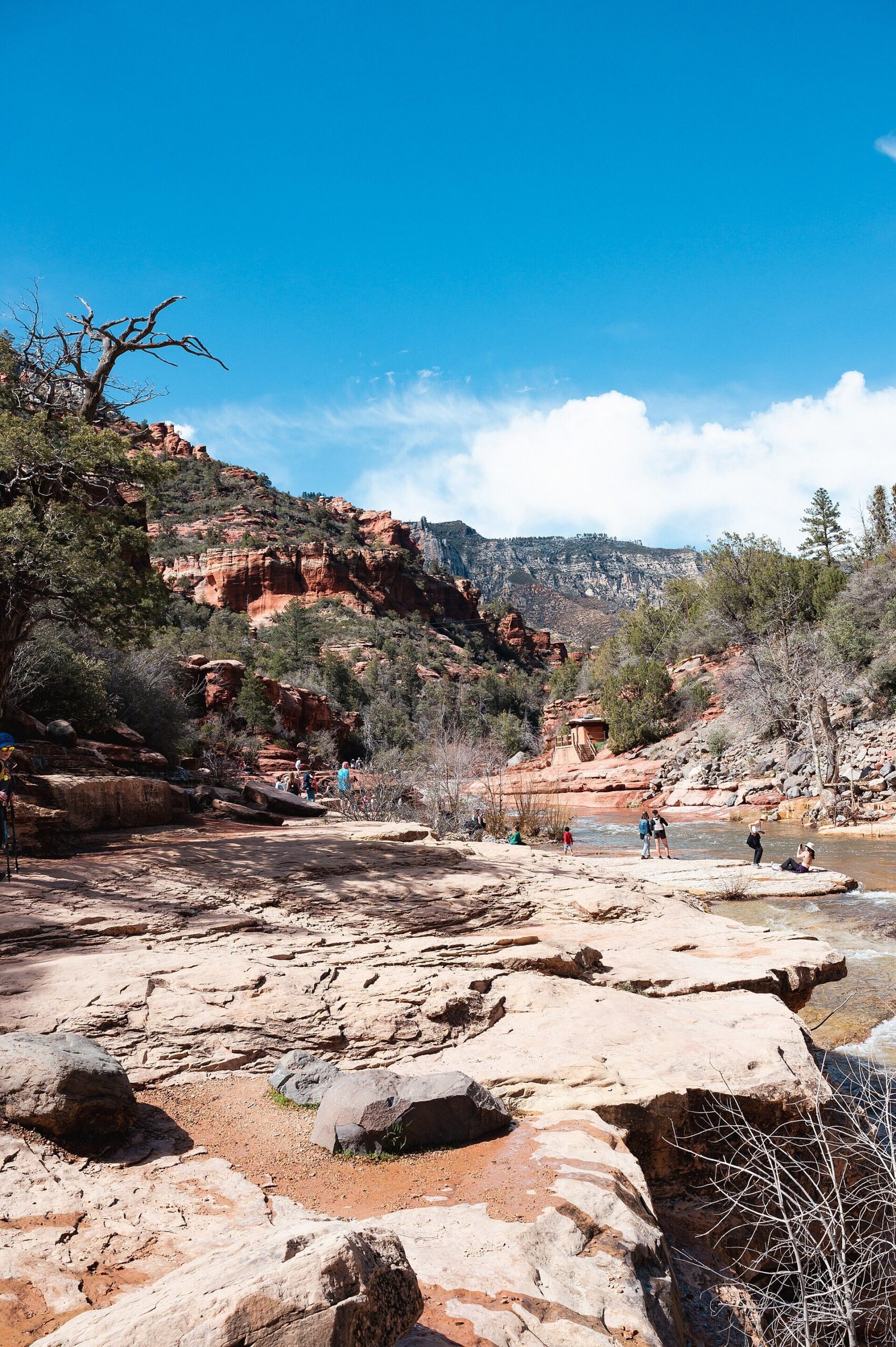 Swimmers on the natural rock chute at Slide Rock State Park