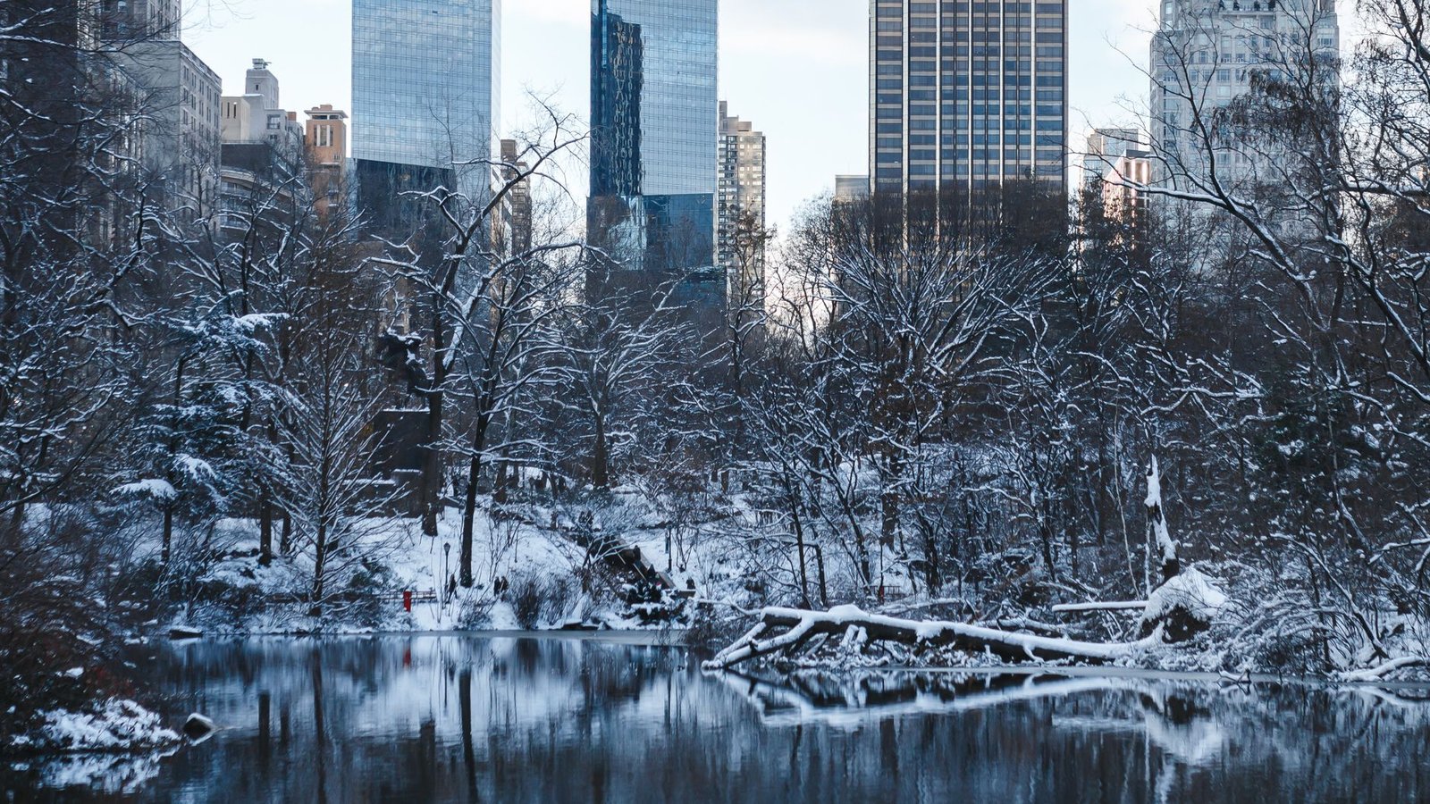 Snow in Central Park with the Manhattan skyline behind