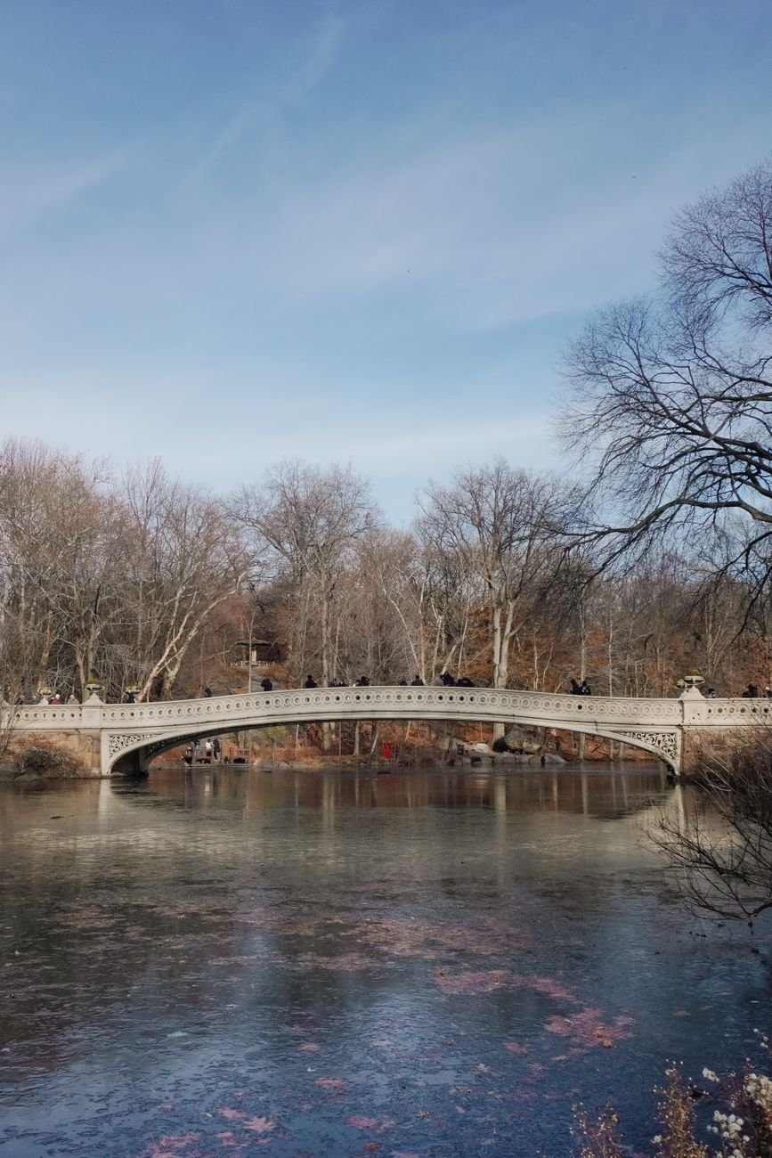 Bow Bridge in Central Park in winter