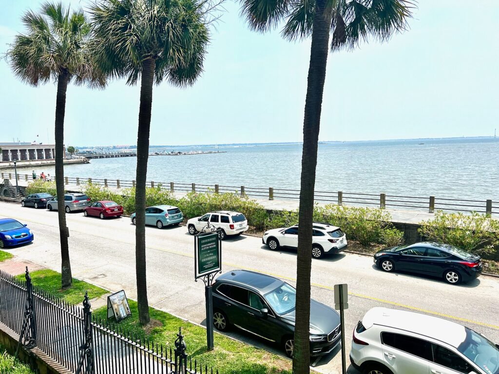 Palmettos along the Battery seawall in Charleston