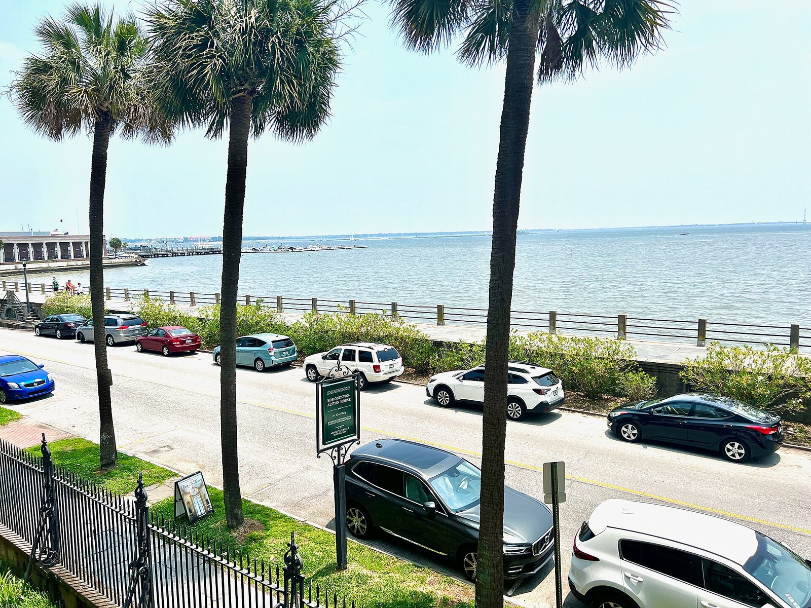 Palmettos along the Battery seawall in Charleston