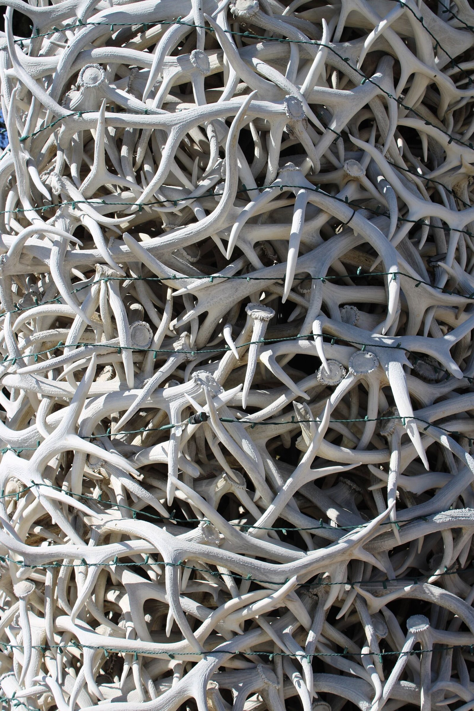 The elk antler arch on the Town Square in Jackson, Wyoming