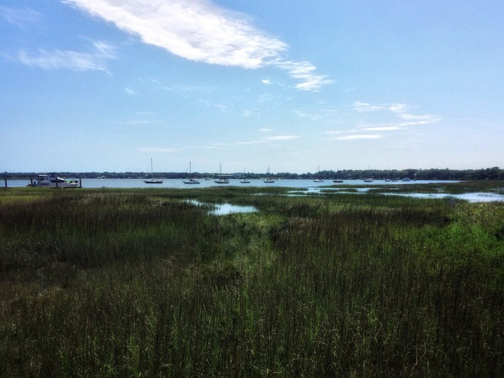Salt marsh along the Intracoastal Waterway in Beaufort, South Carolina