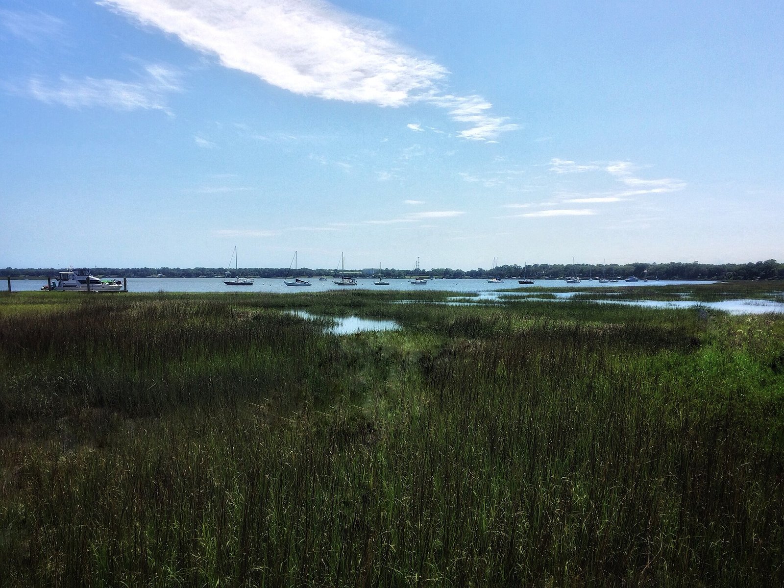 Salt marsh along the Intracoastal Waterway in Beaufort, South Carolina