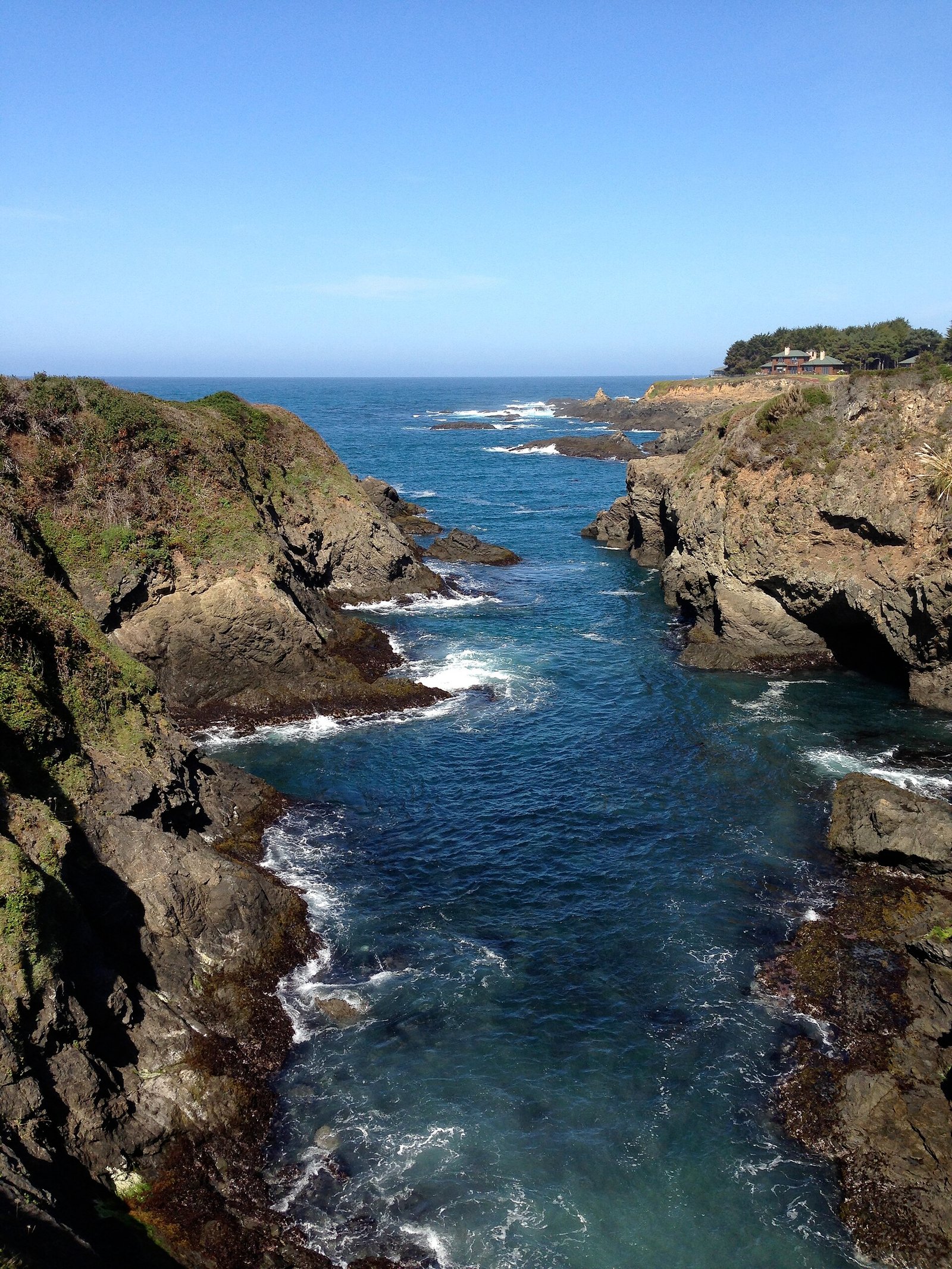 The rocky coast at Mendocino Headlands State Park