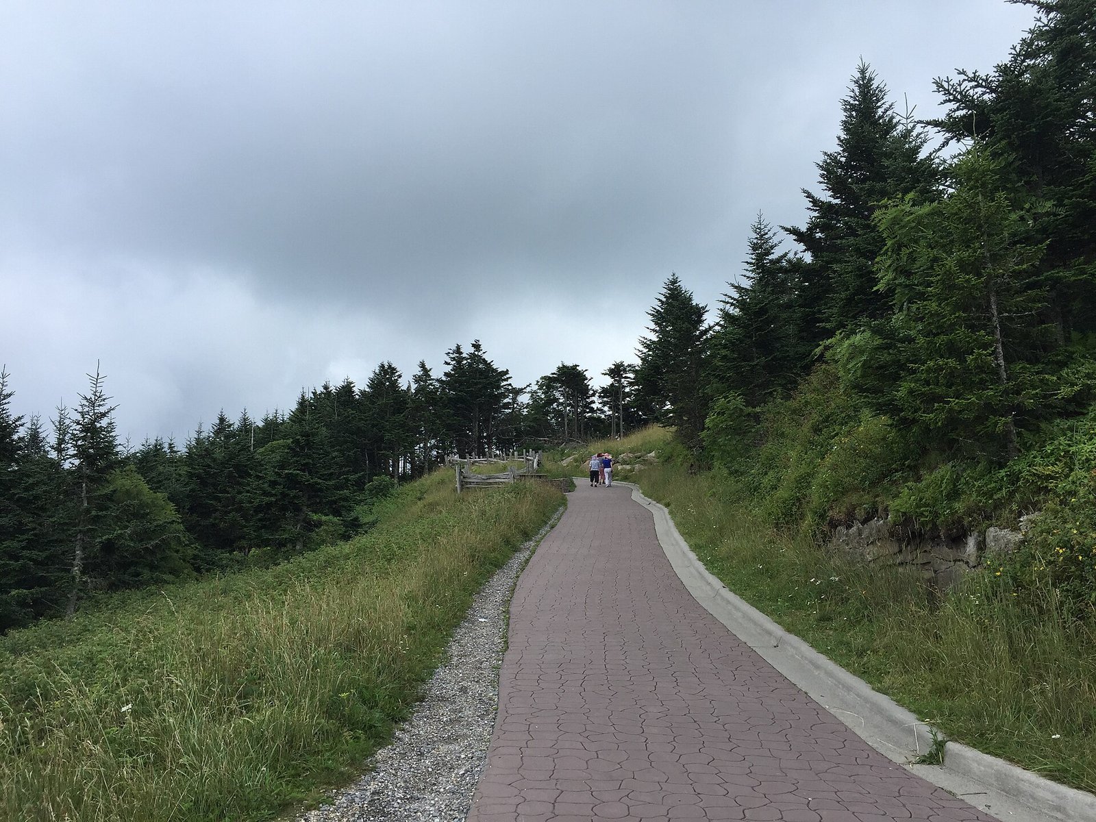 The view from Mount Mitchell, the highest peak east of the Mississippi