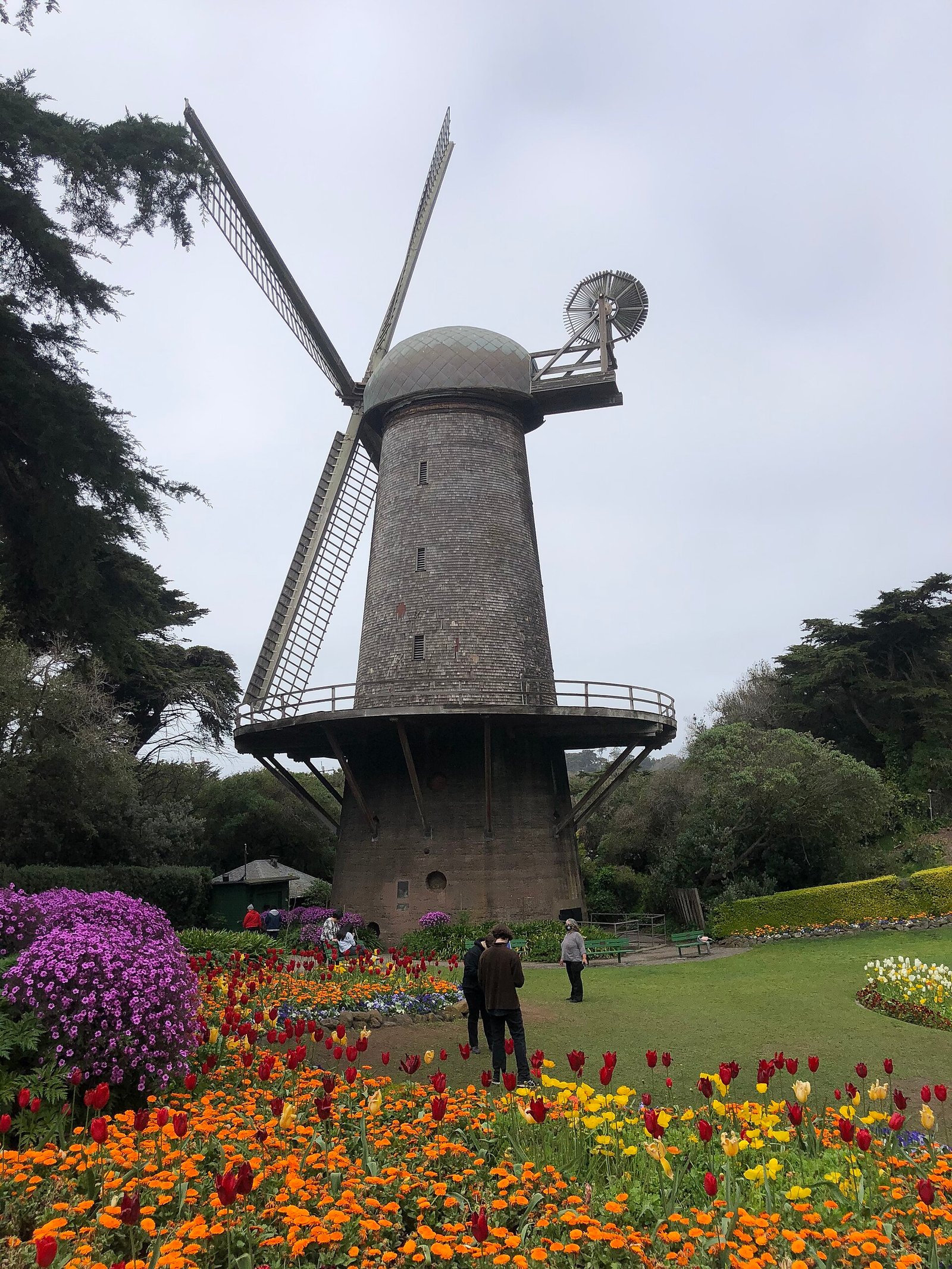 The Dutch Windmill and tulip garden in Golden Gate Park