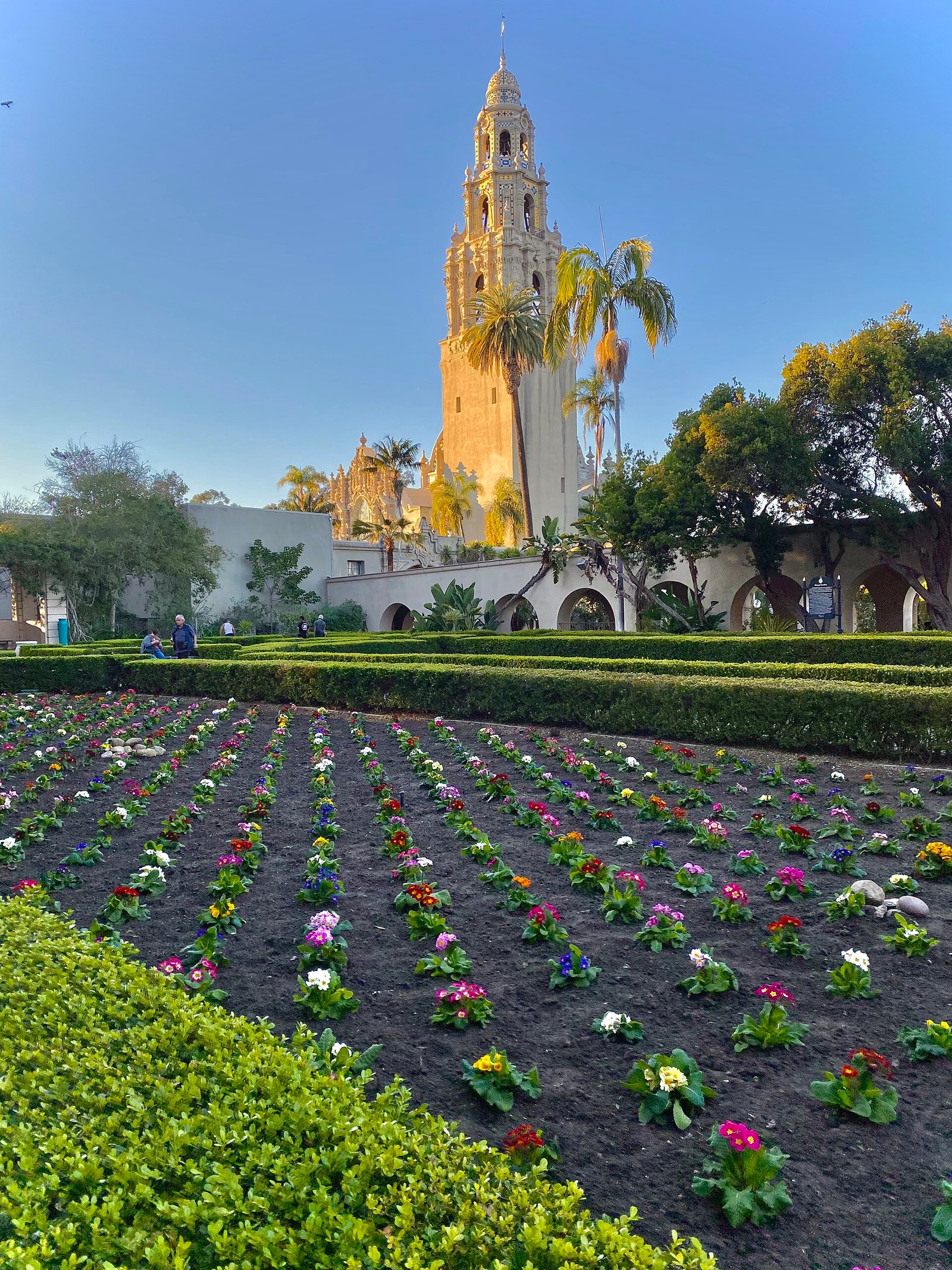 The California Tower above the Spanish-style buildings of Balboa Park