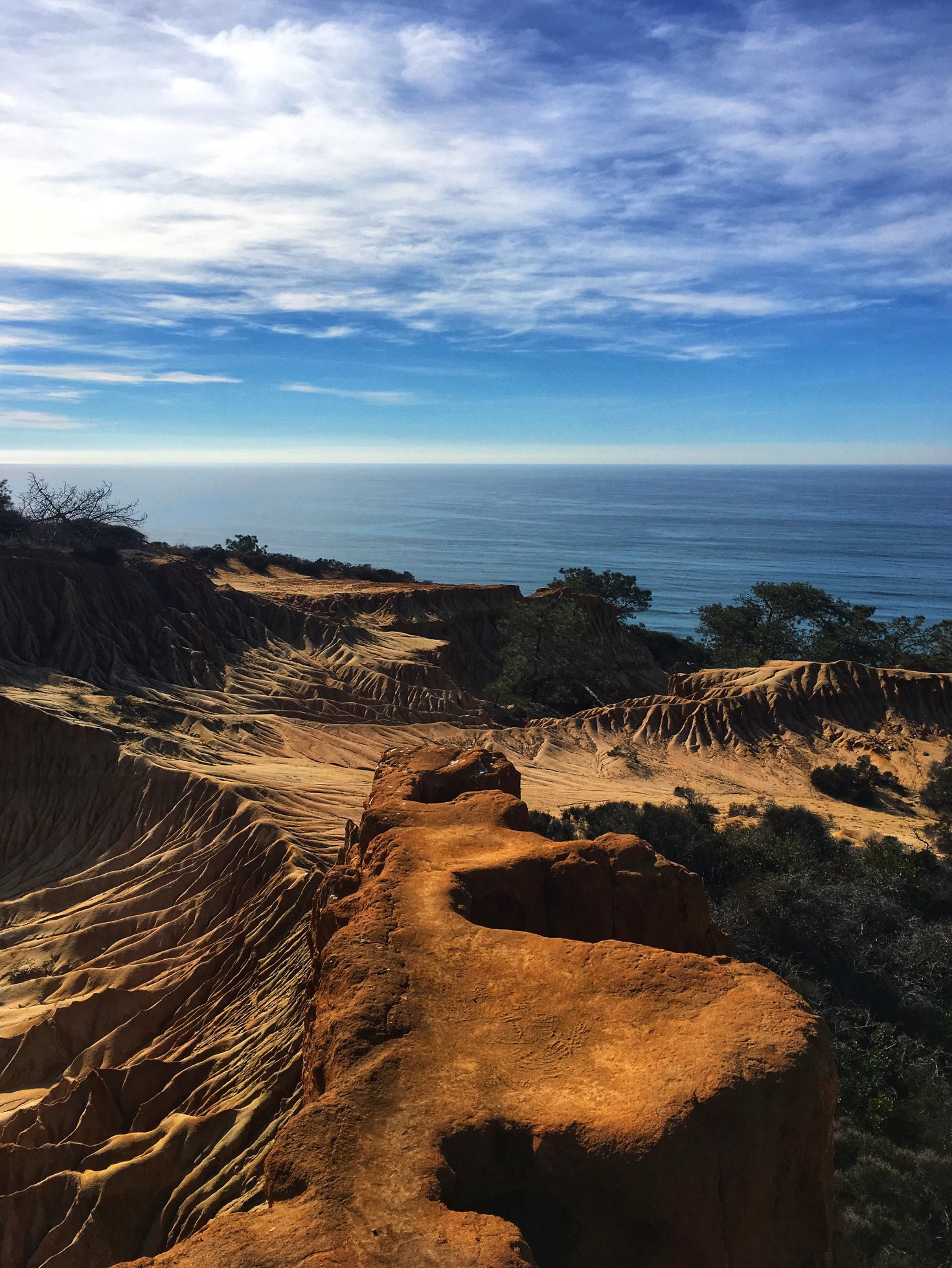 Sandstone bluffs at Torrey Pines State Natural Reserve