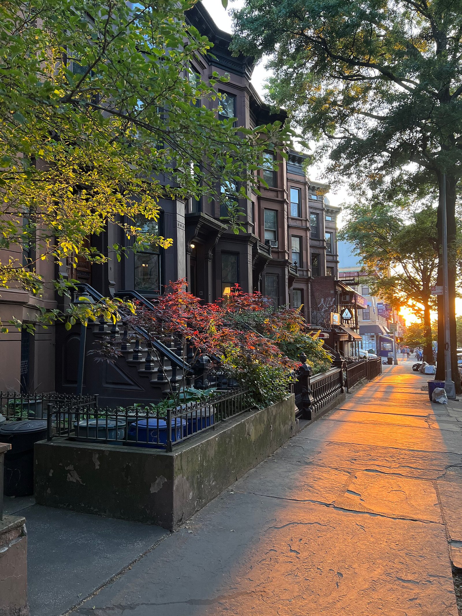 Brownstone row houses in Park Slope, Brooklyn