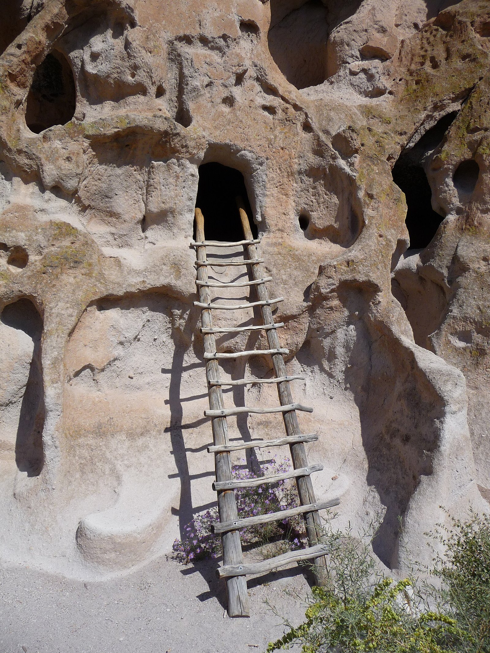 A wooden ladder up to a cliff dwelling at Bandelier National Monument