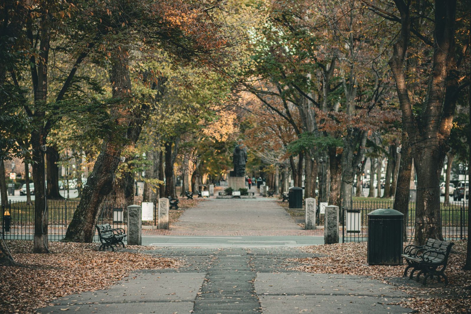 Autumn trees along the Commonwealth Avenue Mall in Boston's Back Bay
