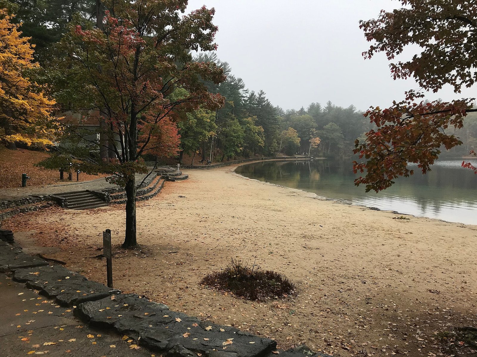 Fall colors reflected in Walden Pond near Concord