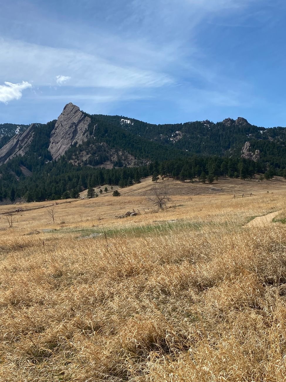The Flatirons rising above Chautauqua Park in Boulder