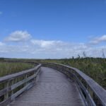 8 Places to Visit Around Miami Besides South Beach