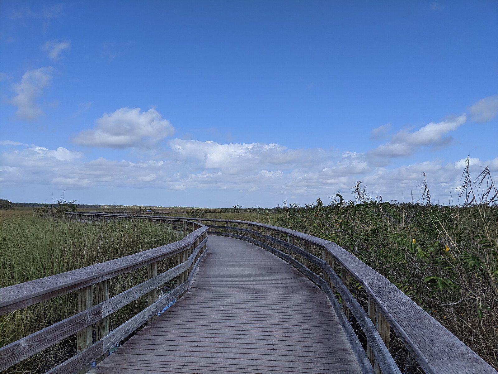A boardwalk through the sawgrass of Everglades National Park