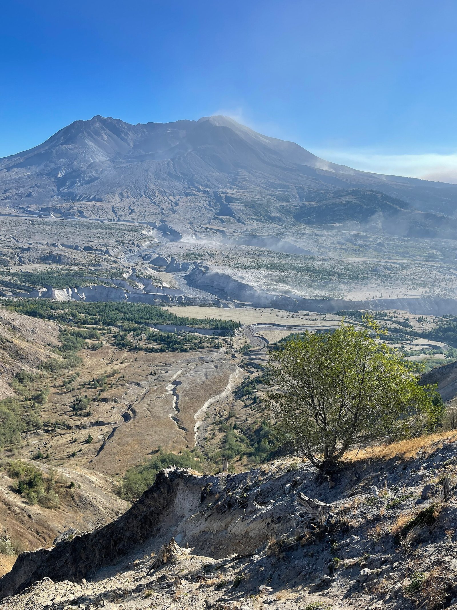 Mount St. Helens and the blast zone below its open crater