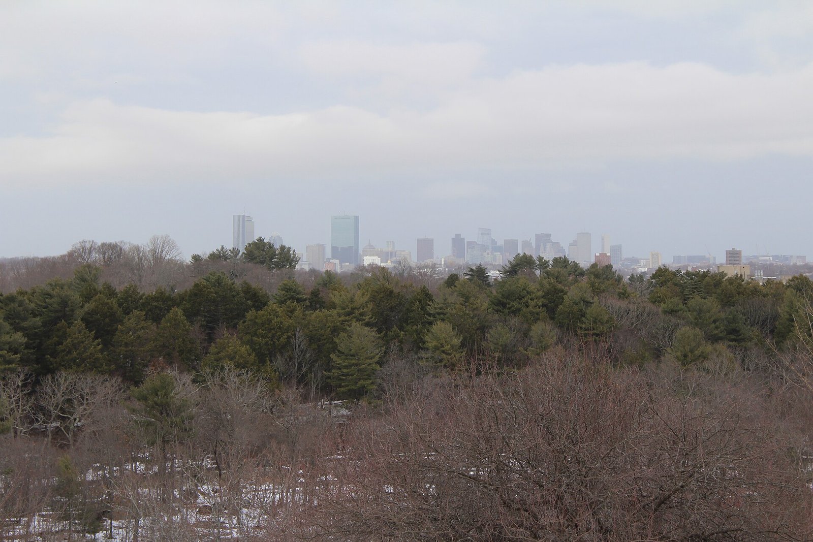 The Boston skyline from Peters Hill in the Arnold Arboretum