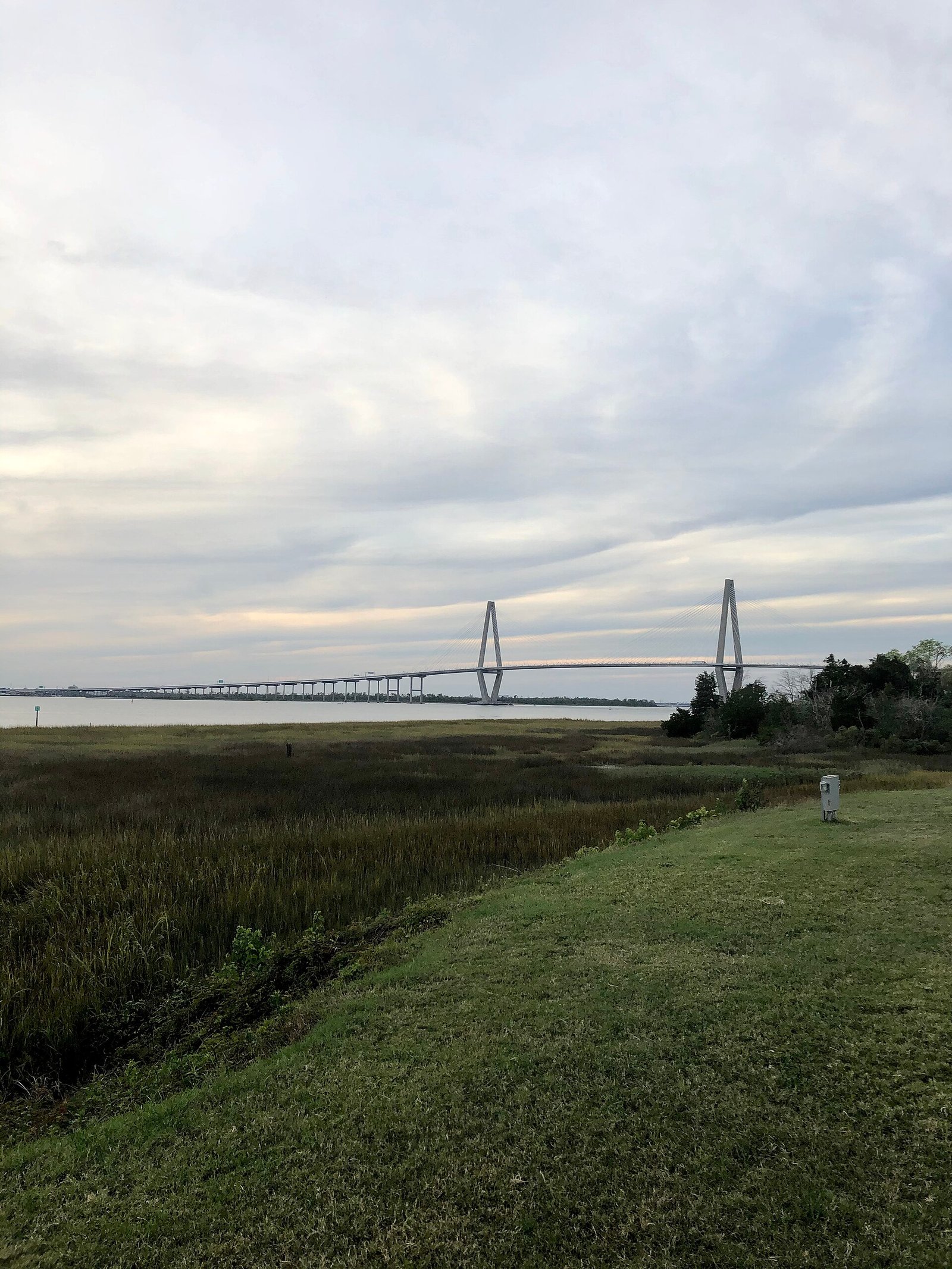 The Arthur Ravenel Jr. Bridge seen across the marsh in Charleston
