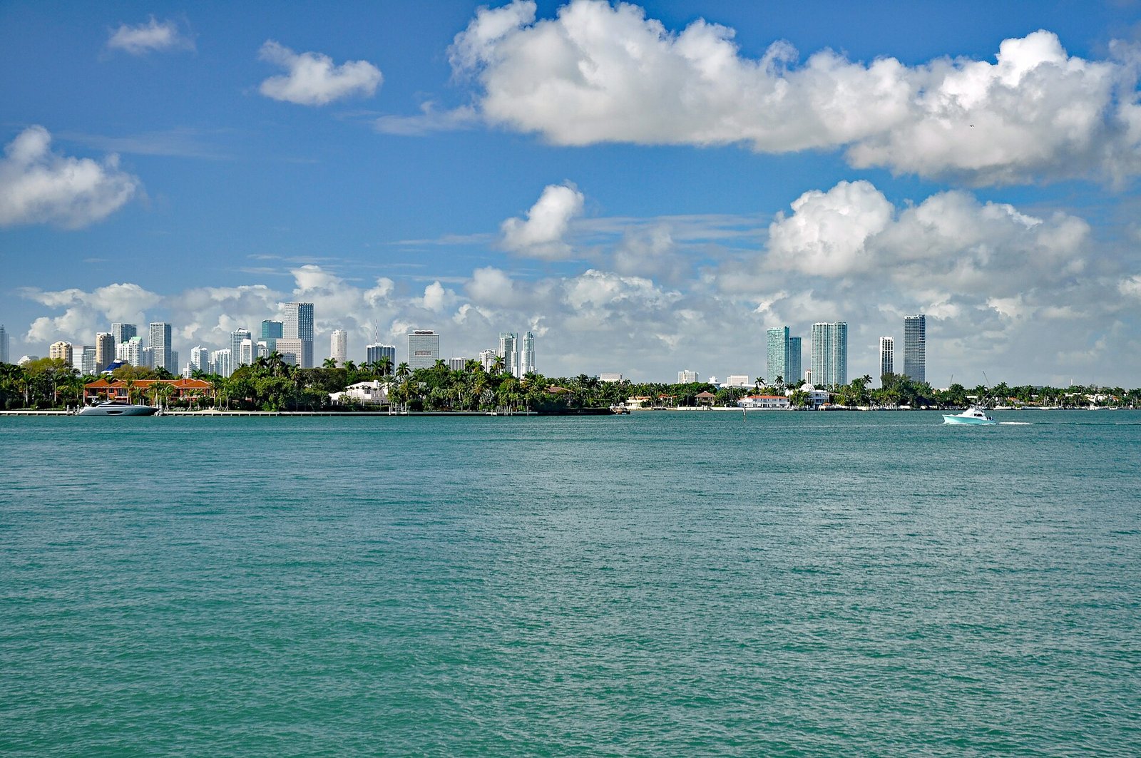 The Miami skyline across Biscayne Bay