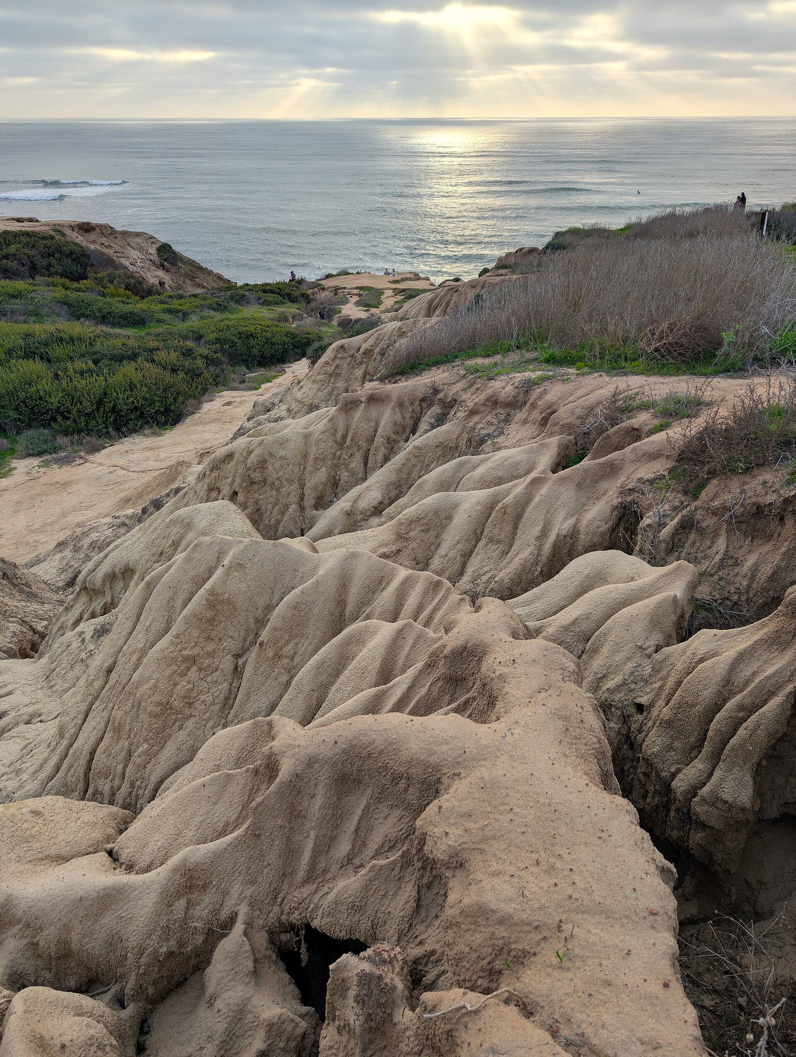 Eroded sandstone bluffs above the ocean at Sunset Cliffs