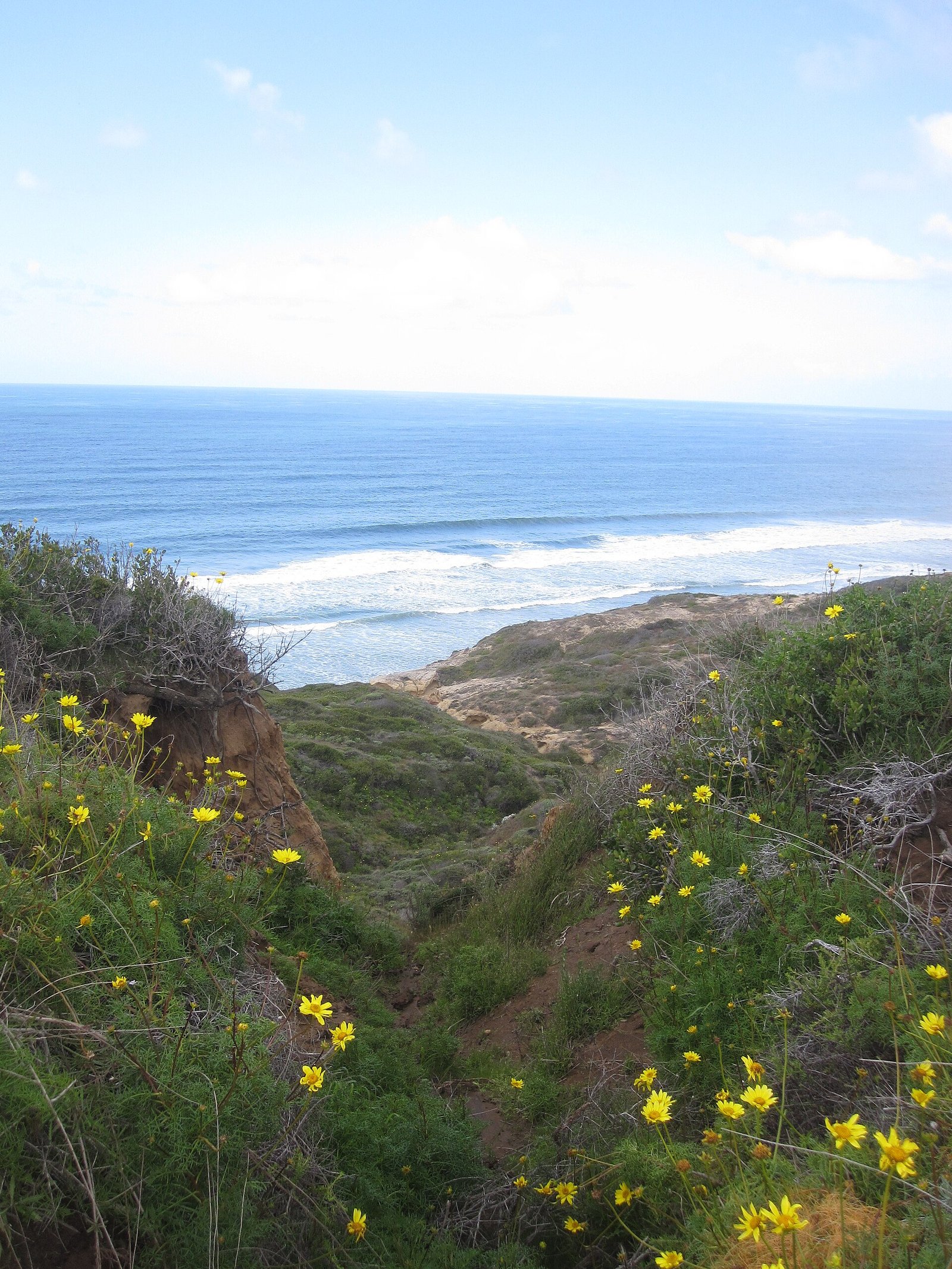 Sandstone cliffs and the ocean at Torrey Pines State Reserve