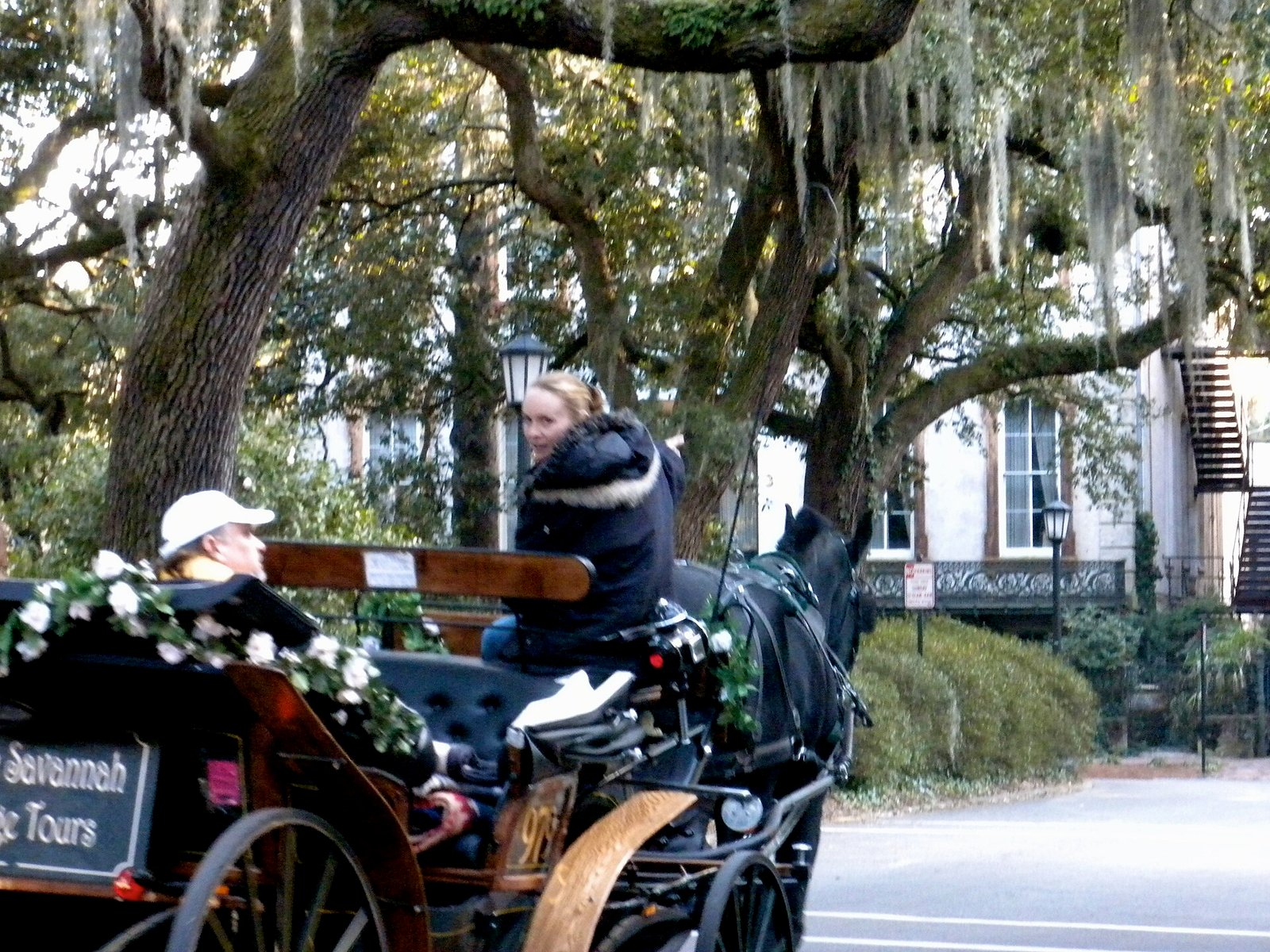 A horse-drawn carriage under the live oaks of Monterey Square in Savannah