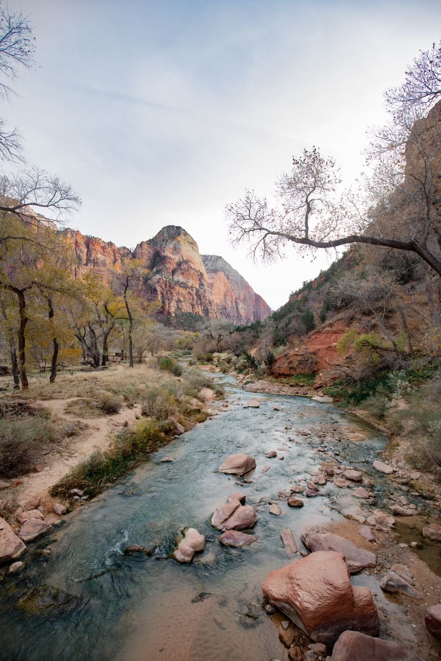 The Virgin River and canyon walls in Zion National Park