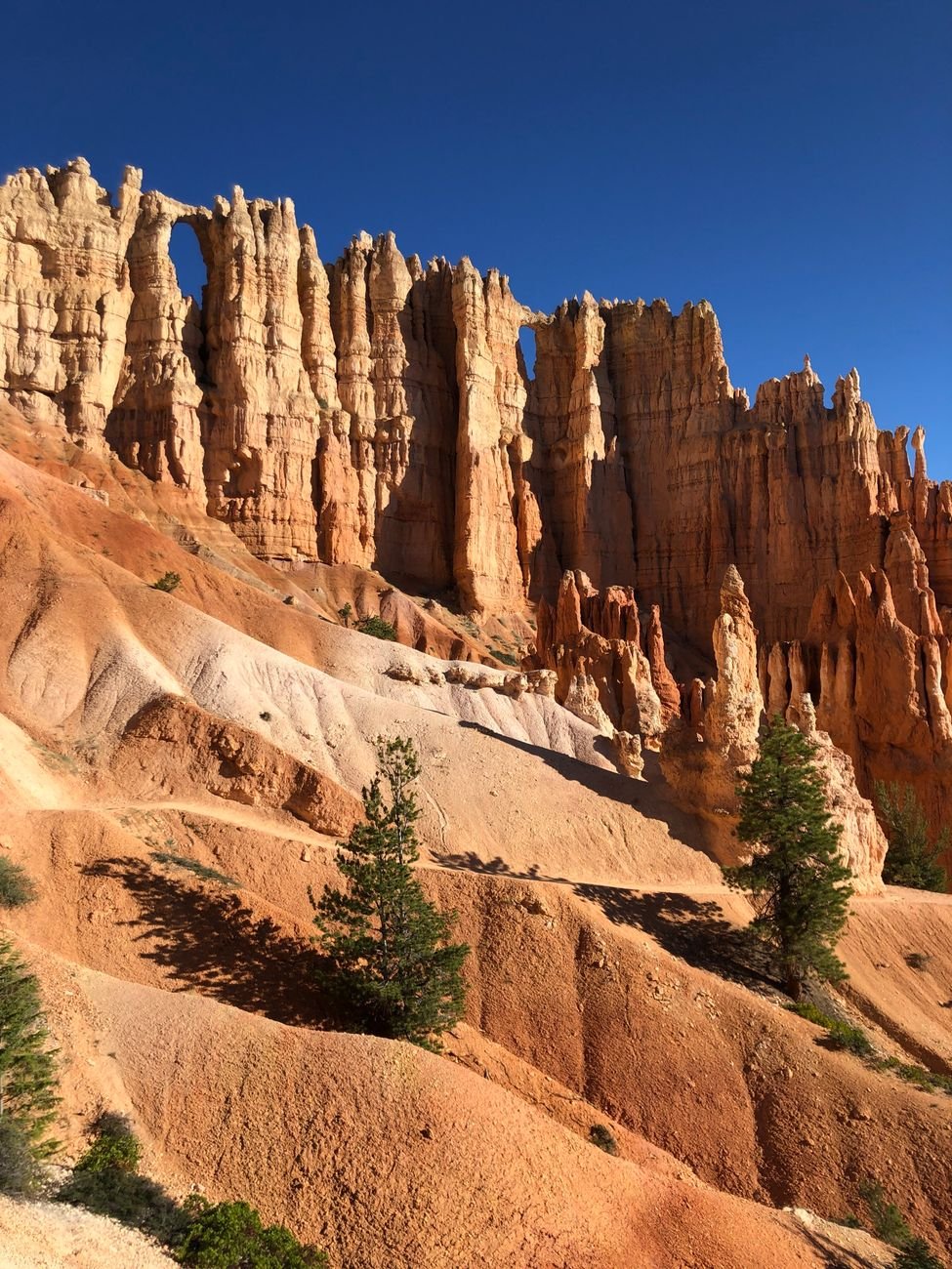 Orange hoodoos in the amphitheater at Bryce Canyon National Park