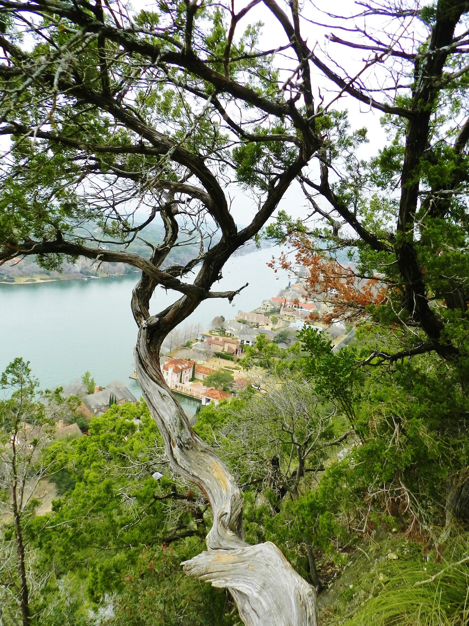 The view over Lake Austin from Mount Bonnell