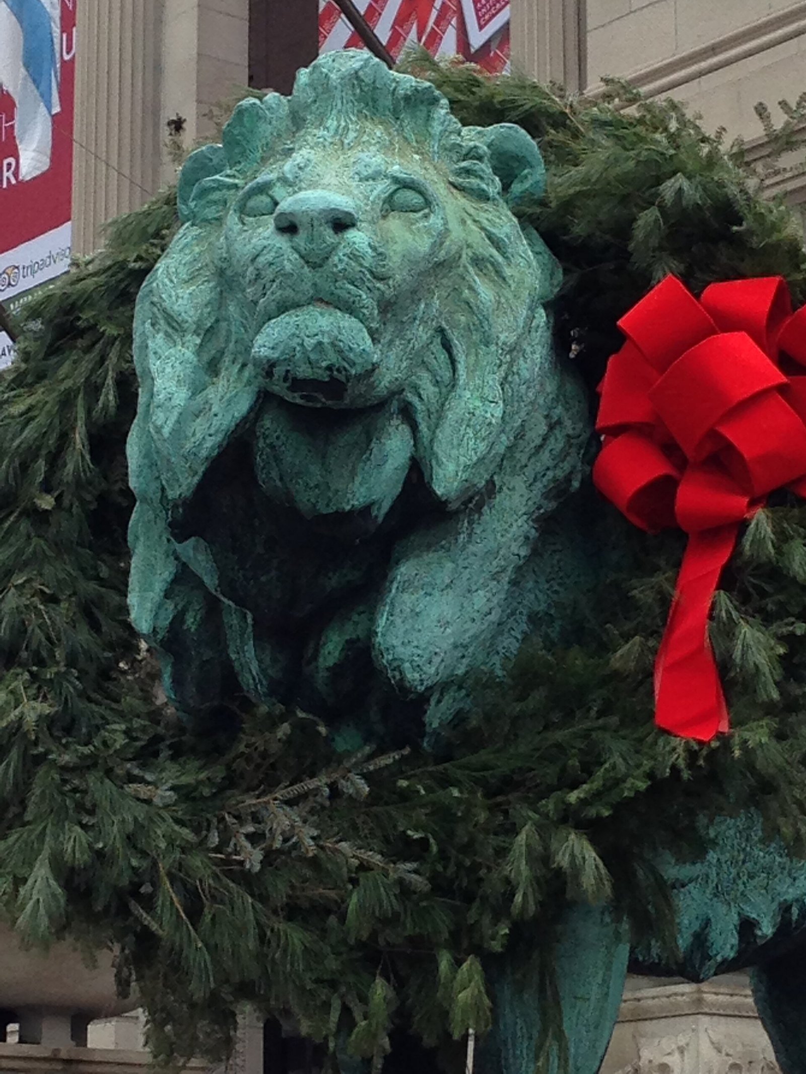 The bronze lions outside the Art Institute of Chicago