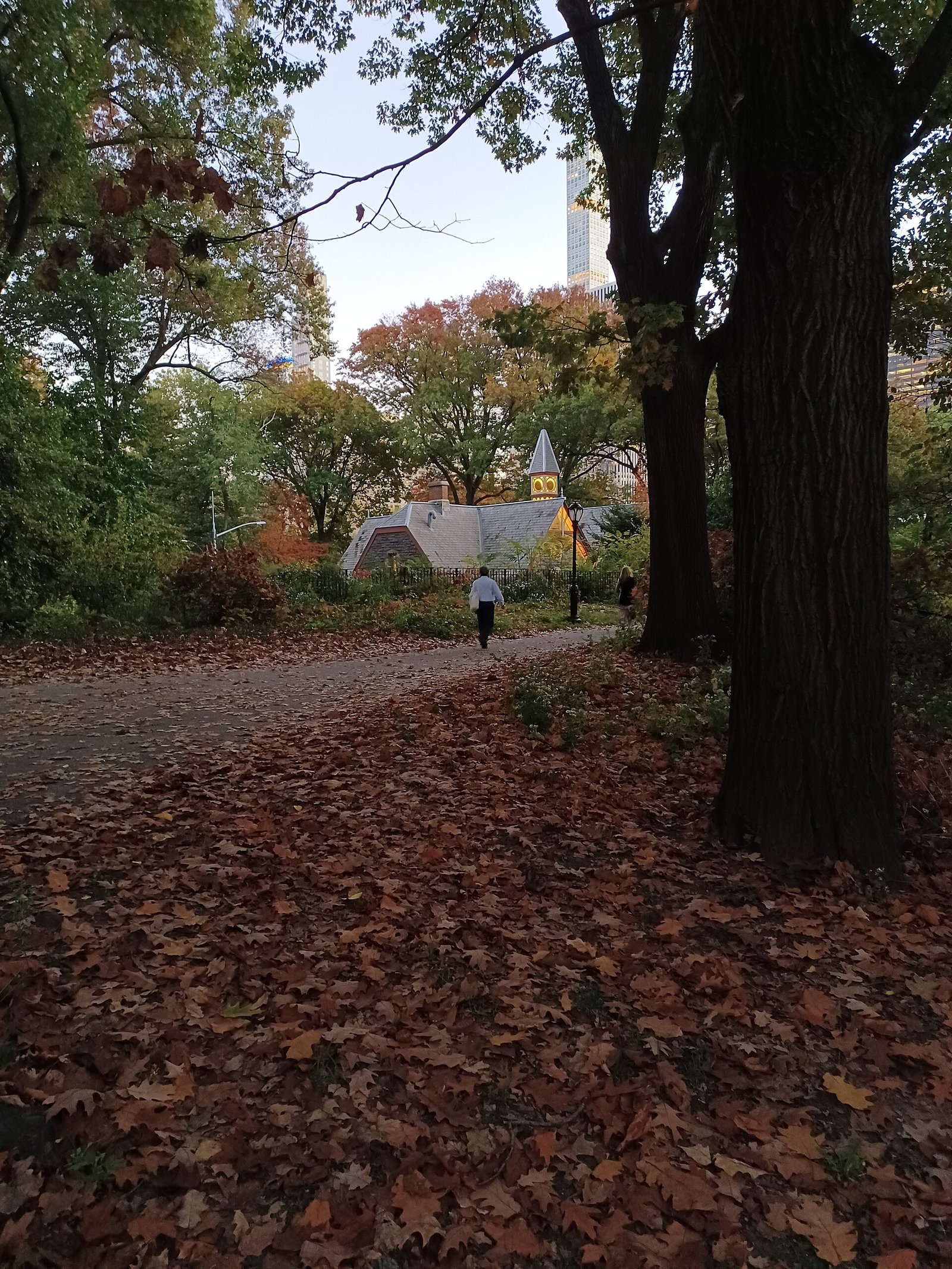 A path through Central Park in the fall
