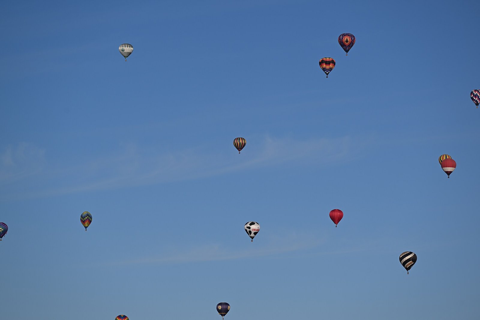 Hot air balloons rising over the Albuquerque International Balloon Fiesta