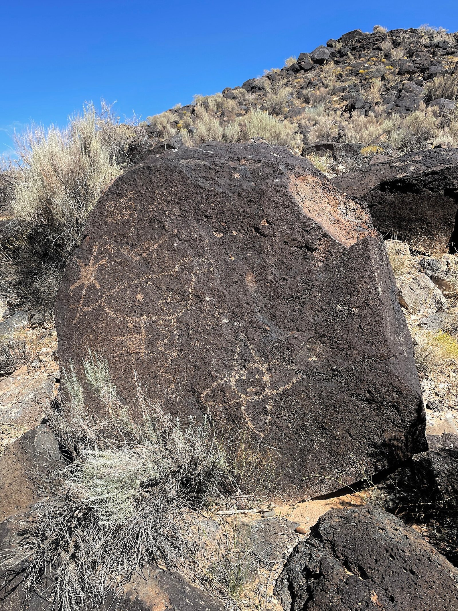 Ancient rock carvings at Petroglyph National Monument