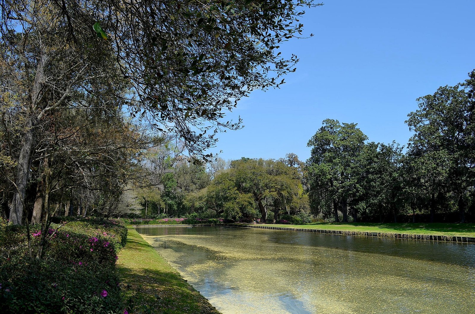 The gardens and reflecting pool at Middleton Place near Charleston