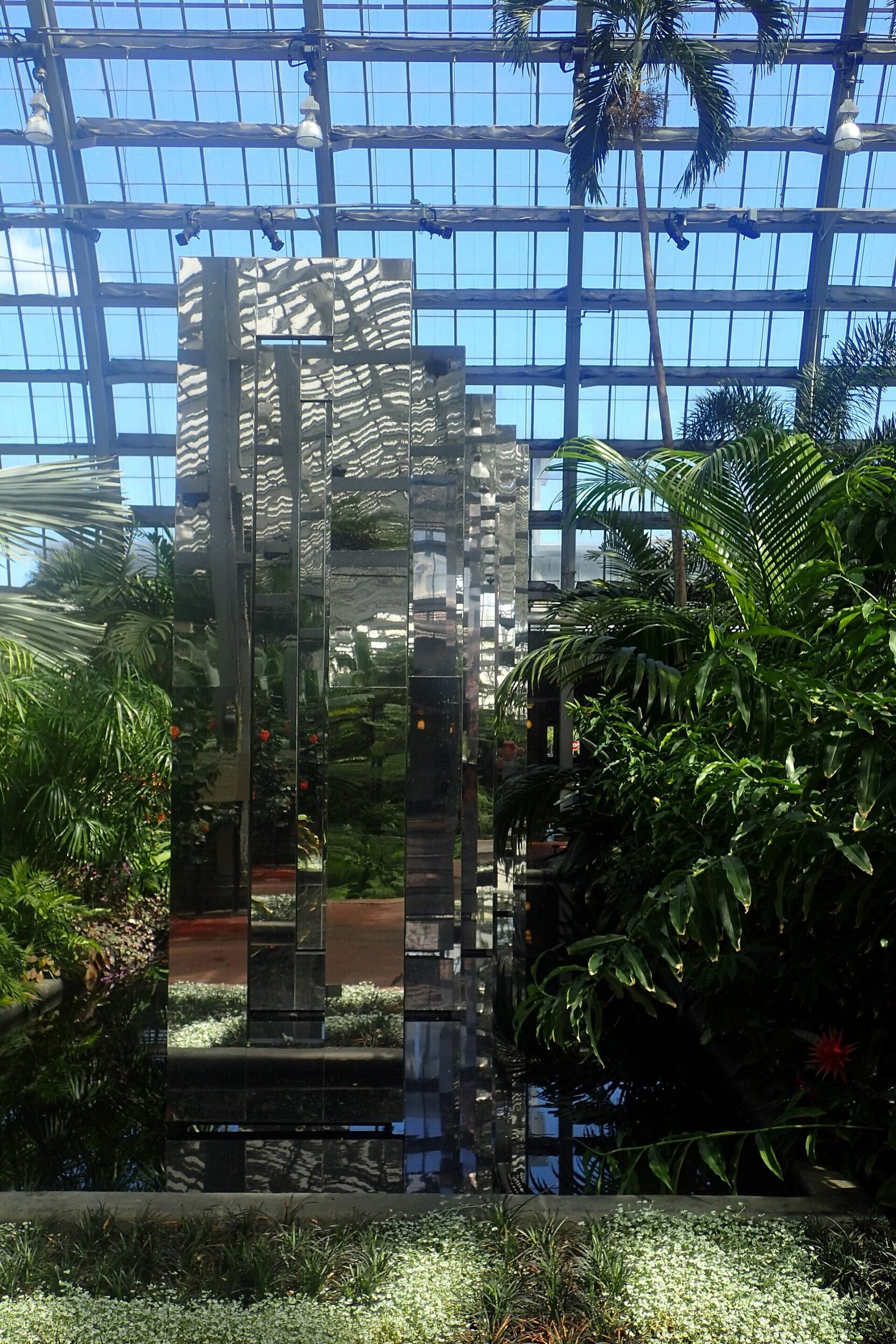 Inside the Garfield Park Conservatory in Chicago