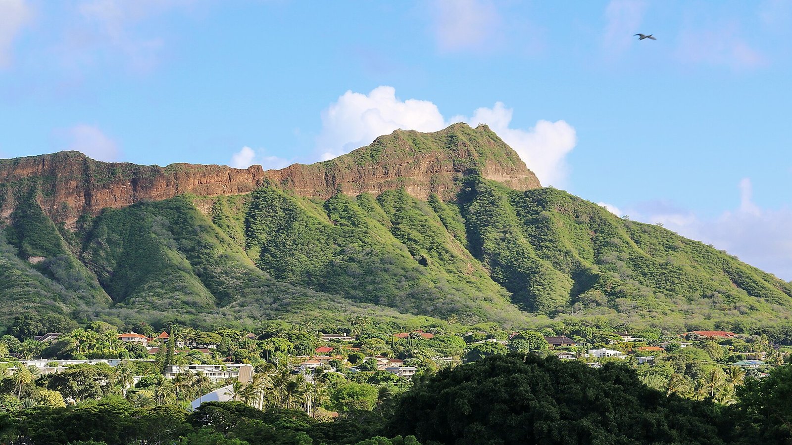 Diamond Head, the volcanic crater above Honolulu