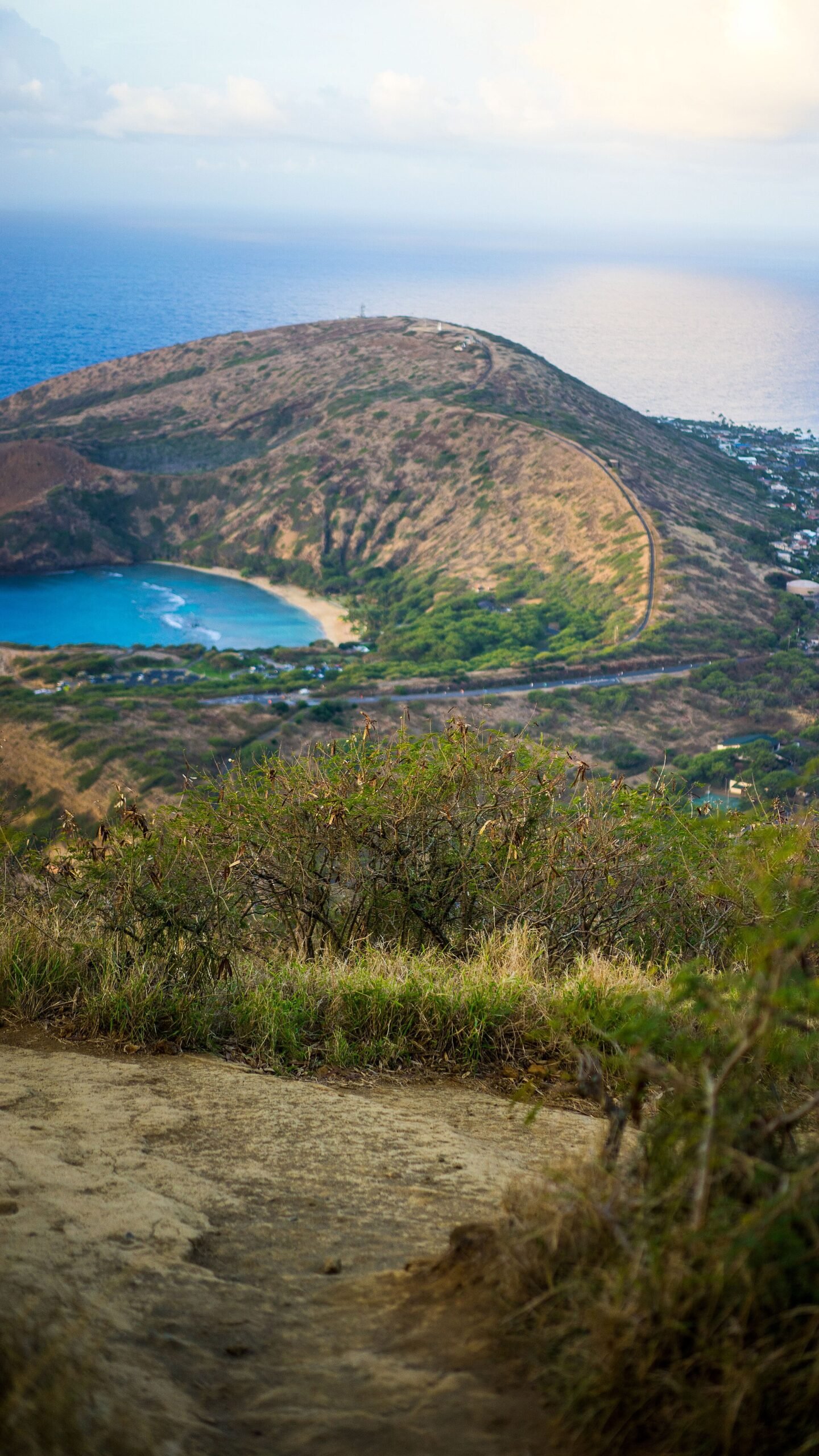 The curved bay and reef of Hanauma Bay from the crater rim