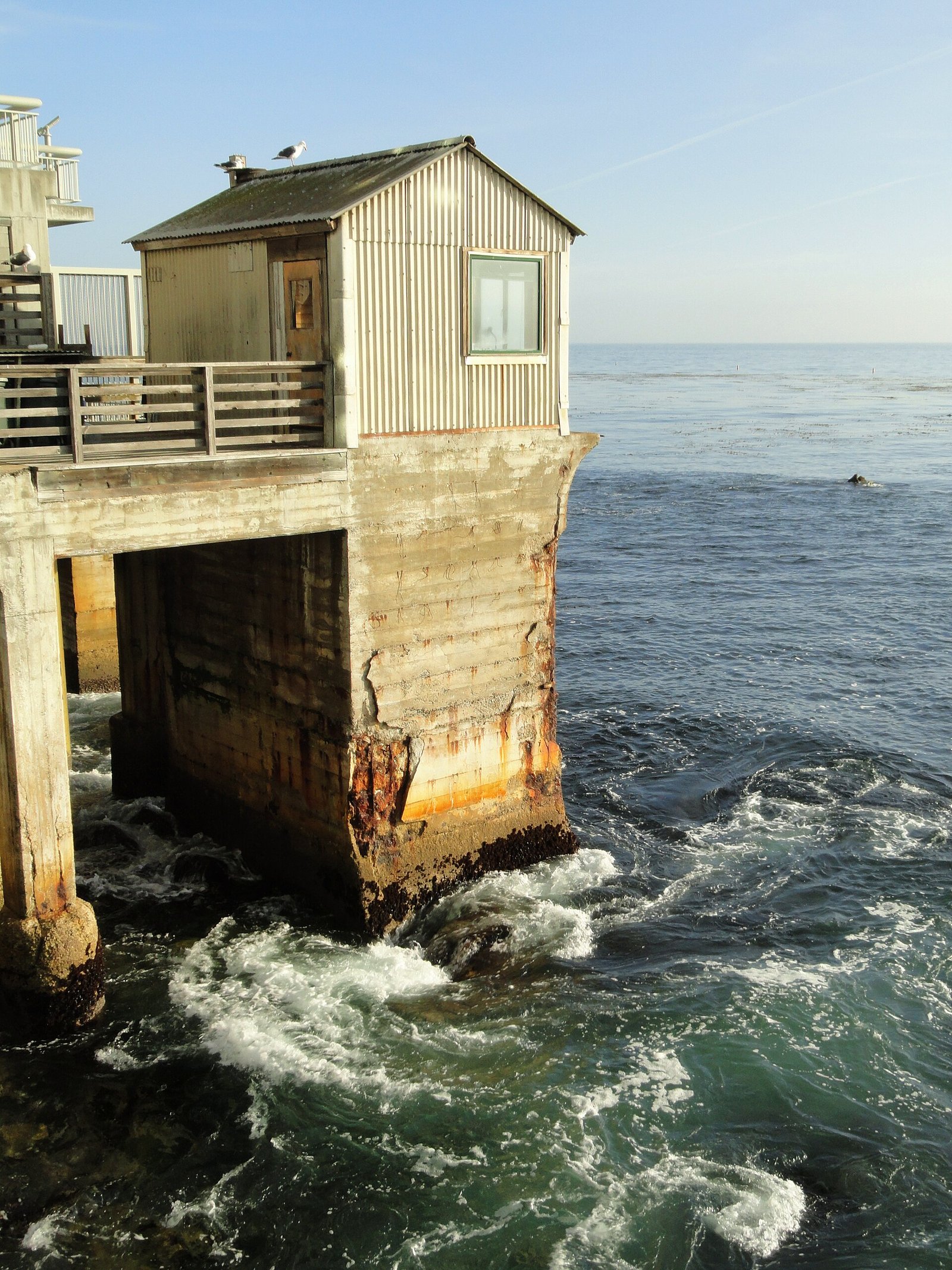 Old cannery buildings along Cannery Row in Monterey