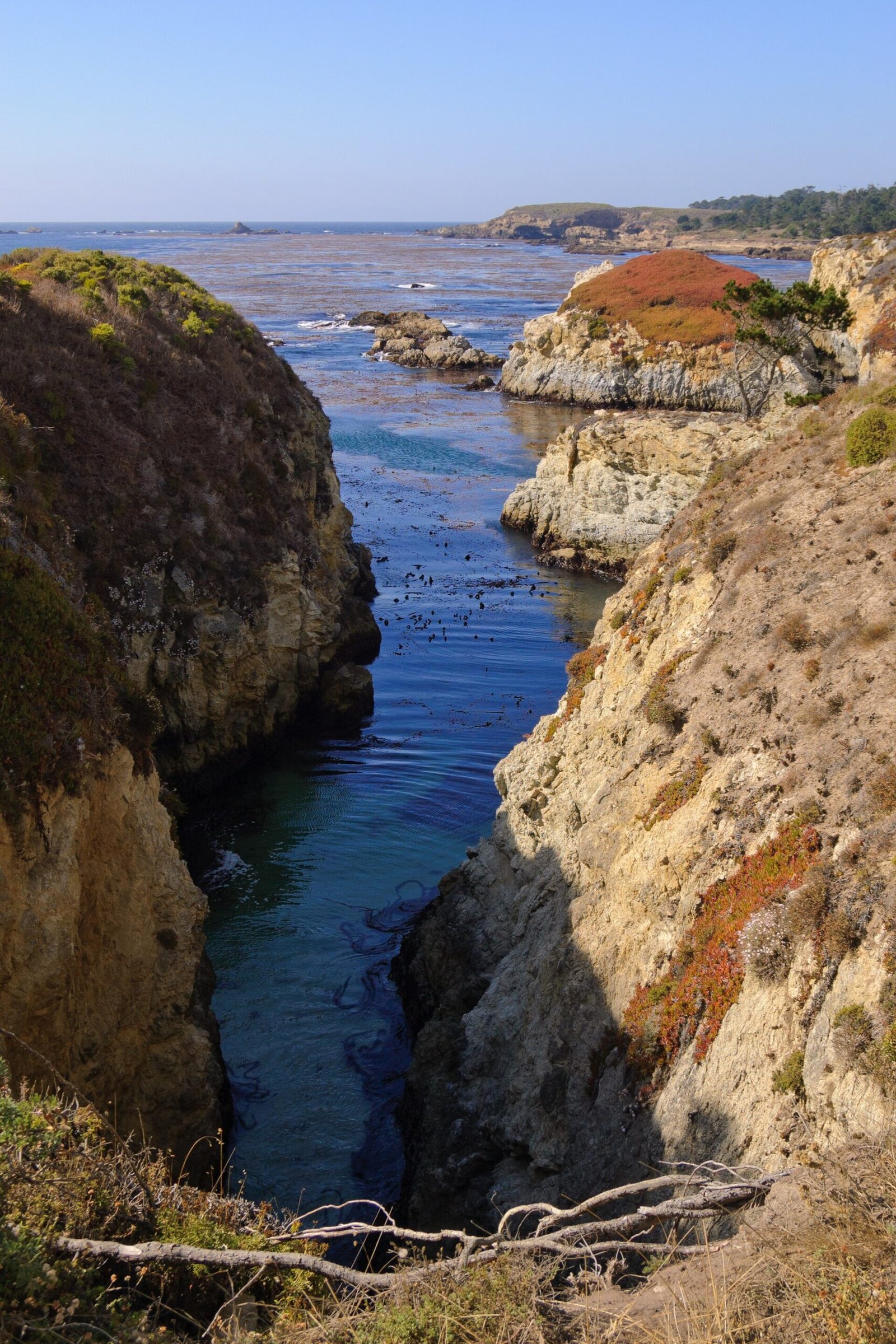 Rocky coves and cypress trees at Point Lobos State Natural Reserve