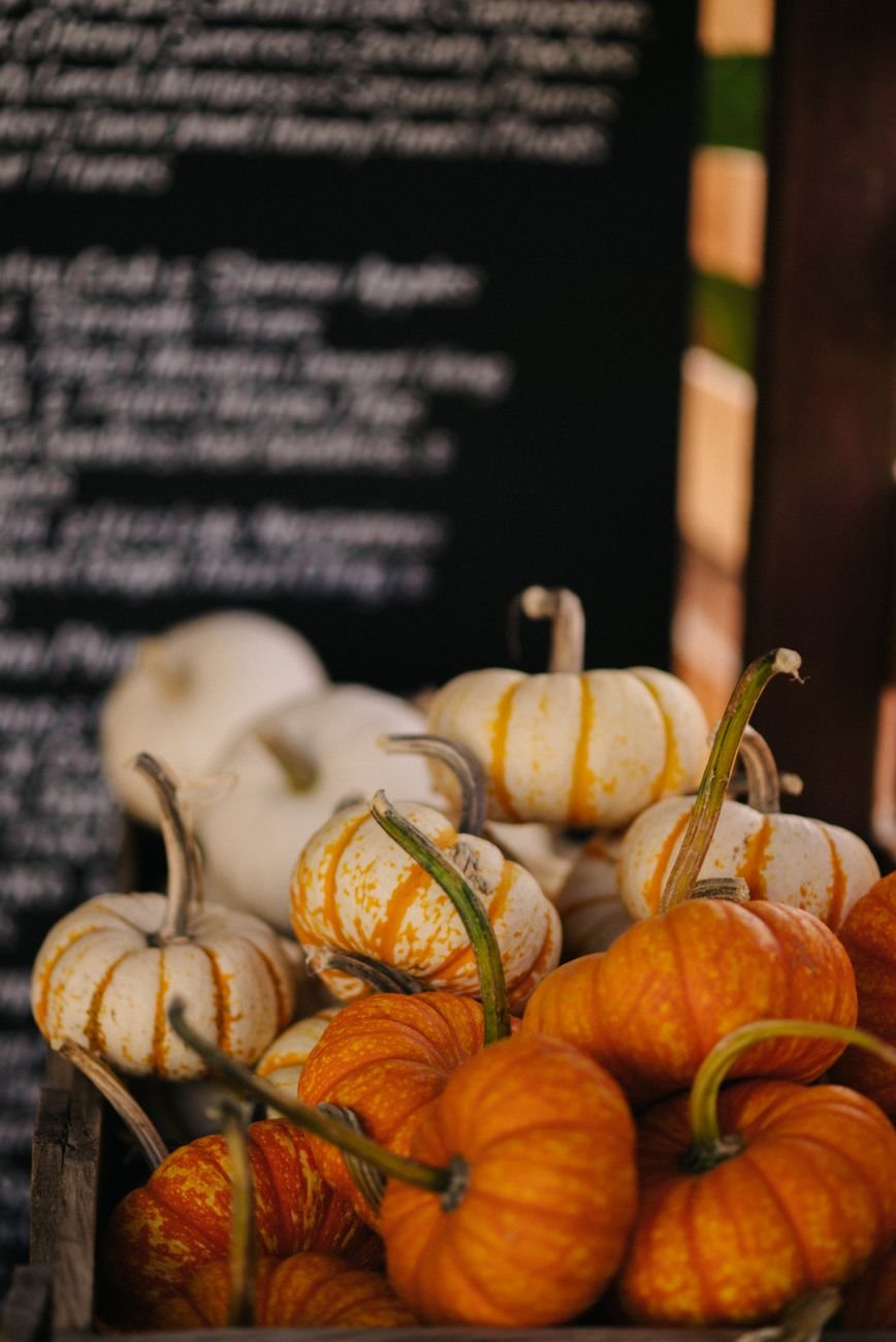 Pumpkins on display for Halloween in New England
