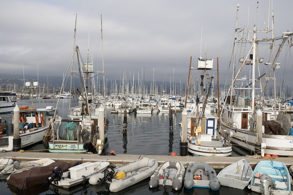 Santa Barbara's harbor and coastline with the mountains behind