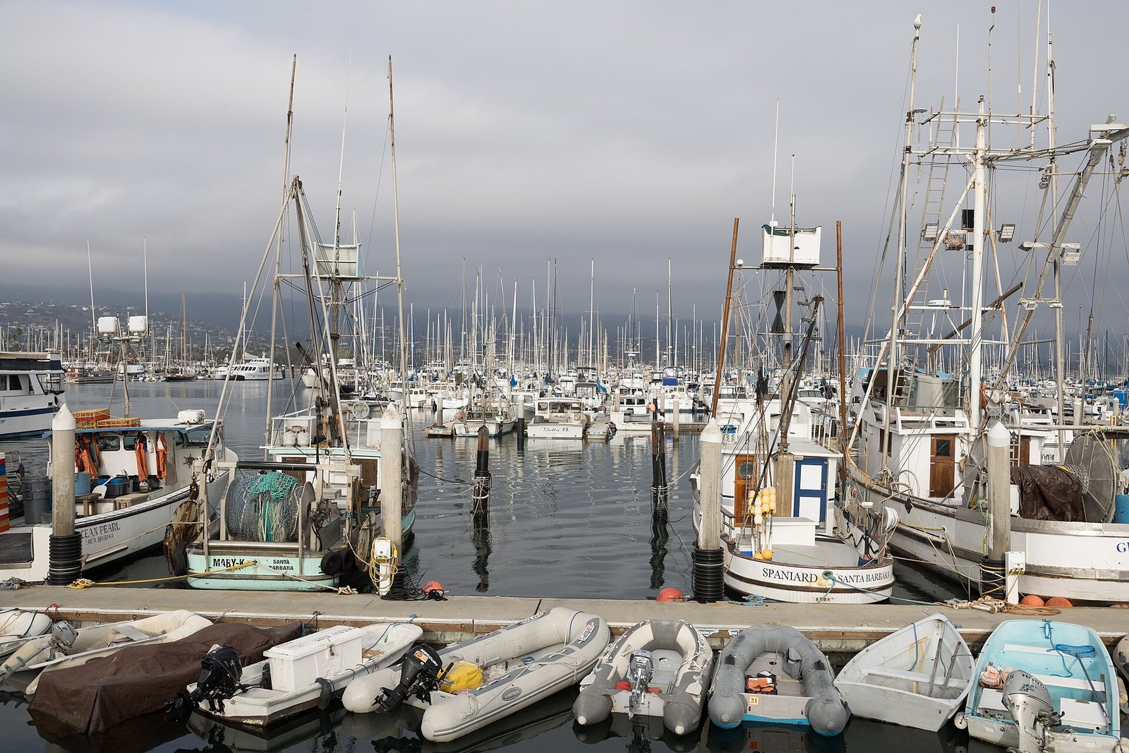 Santa Barbara's harbor and coastline with the mountains behind
