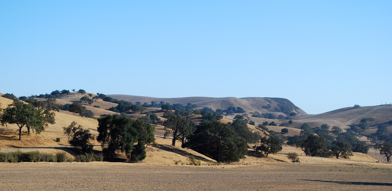 The rolling hills of Santa Barbara County wine country