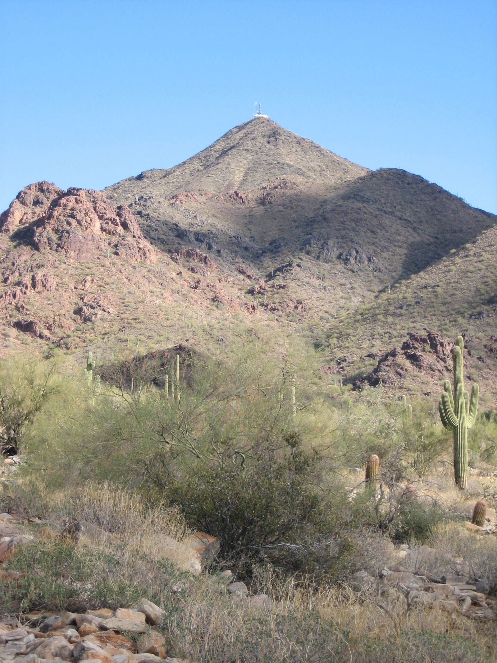 Saguaros below Thompson Peak in the McDowell Mountains