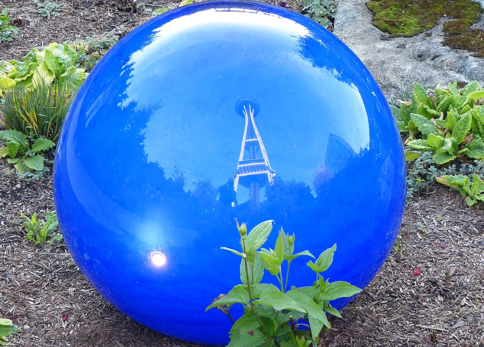 The Space Needle reflected in a blue glass sphere at Chihuly Garden and Glass